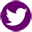 twitter icon grape